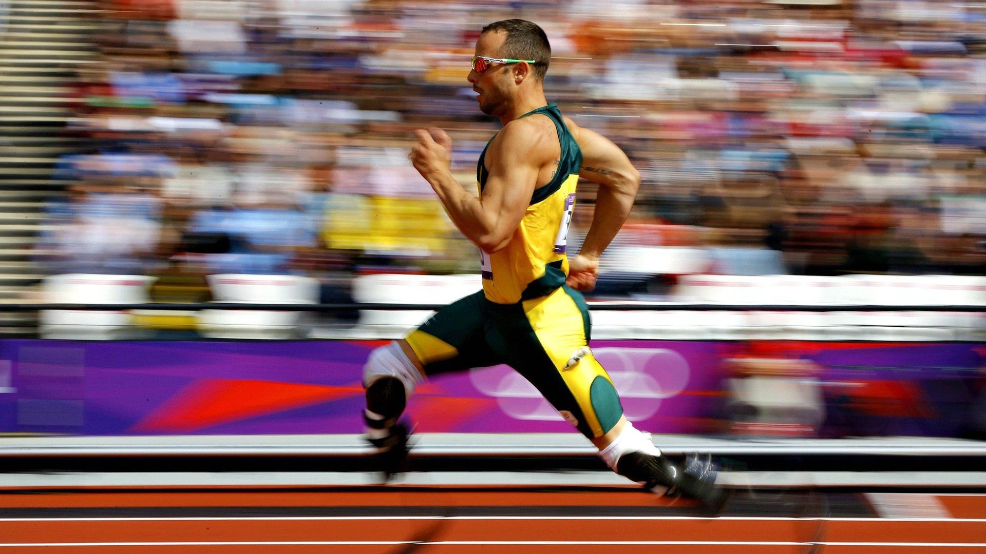 波兰队未来潜力:如何通过提高比赛速度来提升整体表现,波兰队阵型